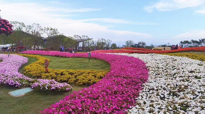 花博会.jpg